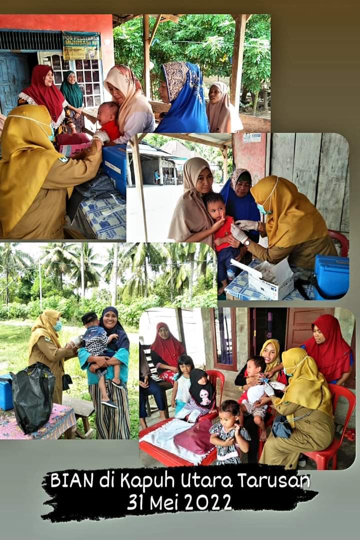 UPT PUSKESMAS Tarusan laksanakan BIAN 