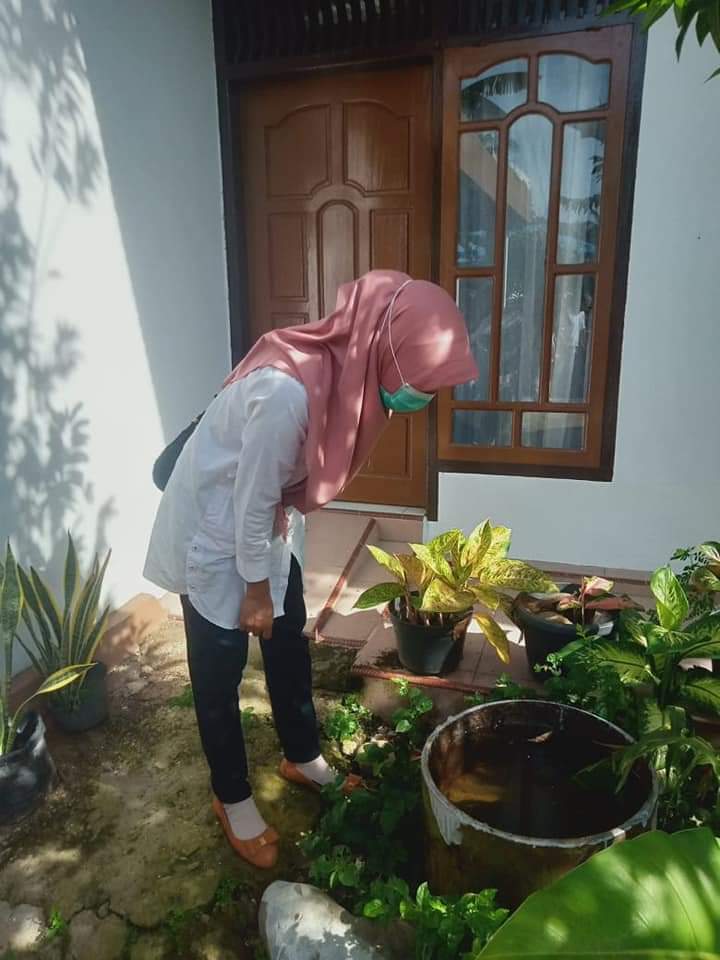 Pelaksanaan  PE DBD di Padang Laban nagari PASIA pelangai.