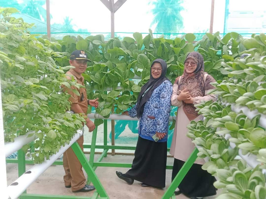 UPT Puskesmas Tarusan  ikut panen tanaman hidroponik yang dibudidayakan oleh Bapak Wali Nagari Batu 
