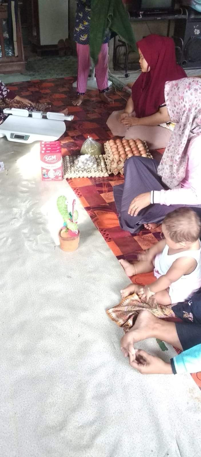 KUNJUNGAN BAYI BGM (Bawah Garis Merah ) WILAYAH KERJA PUSKESMAS INDERAPURA 