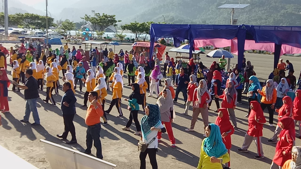 Hari Lanjut Usia Nasional (HLUN) ke-23 tahun 2019