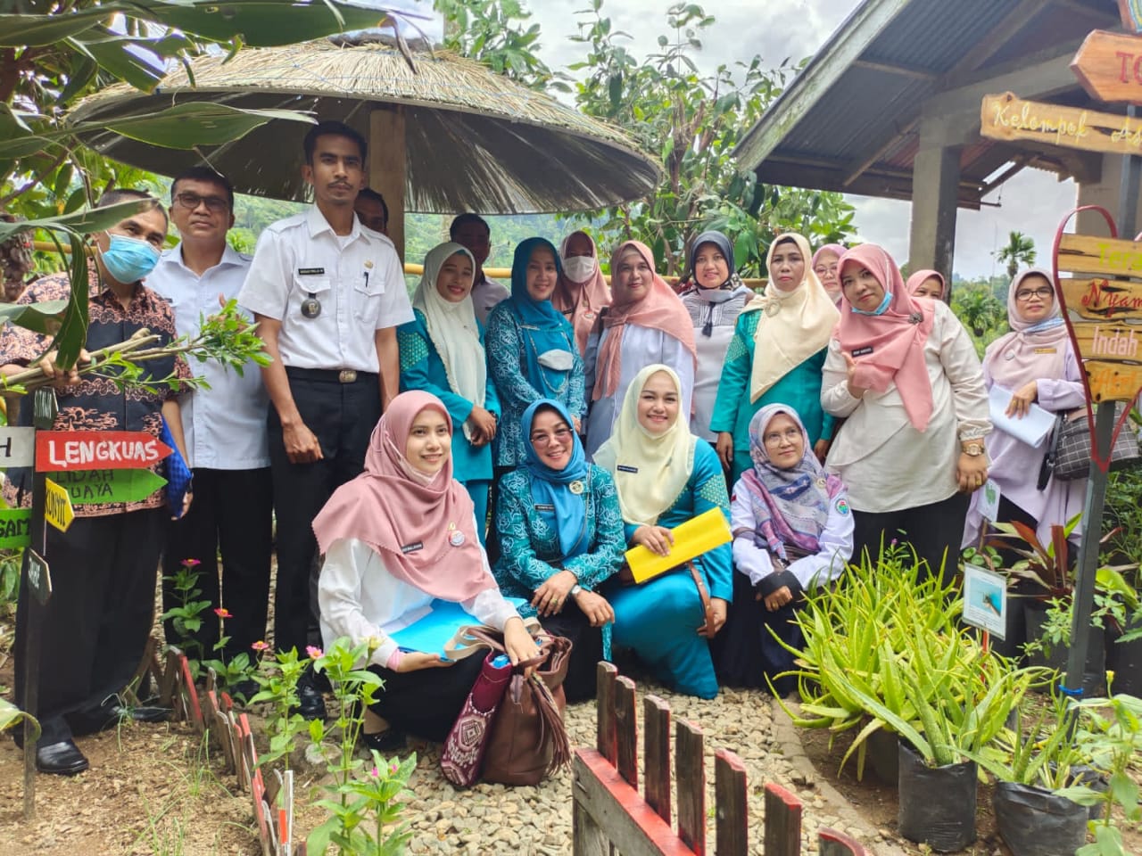 Penilaian kelompok asuhan mandiri melalui pemanfaatan TOGA dan akupressure tingkat Provinsi Sumatera