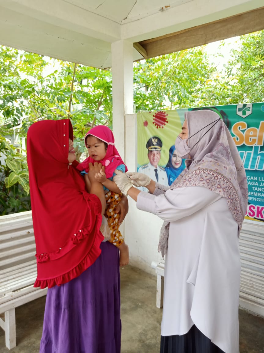 Pelaksanaan BIAN ( BULAN IMUNISASI ANAK NASIONAL) di Posyandu Di Wilayah Kerja Puskesmas Airpura 