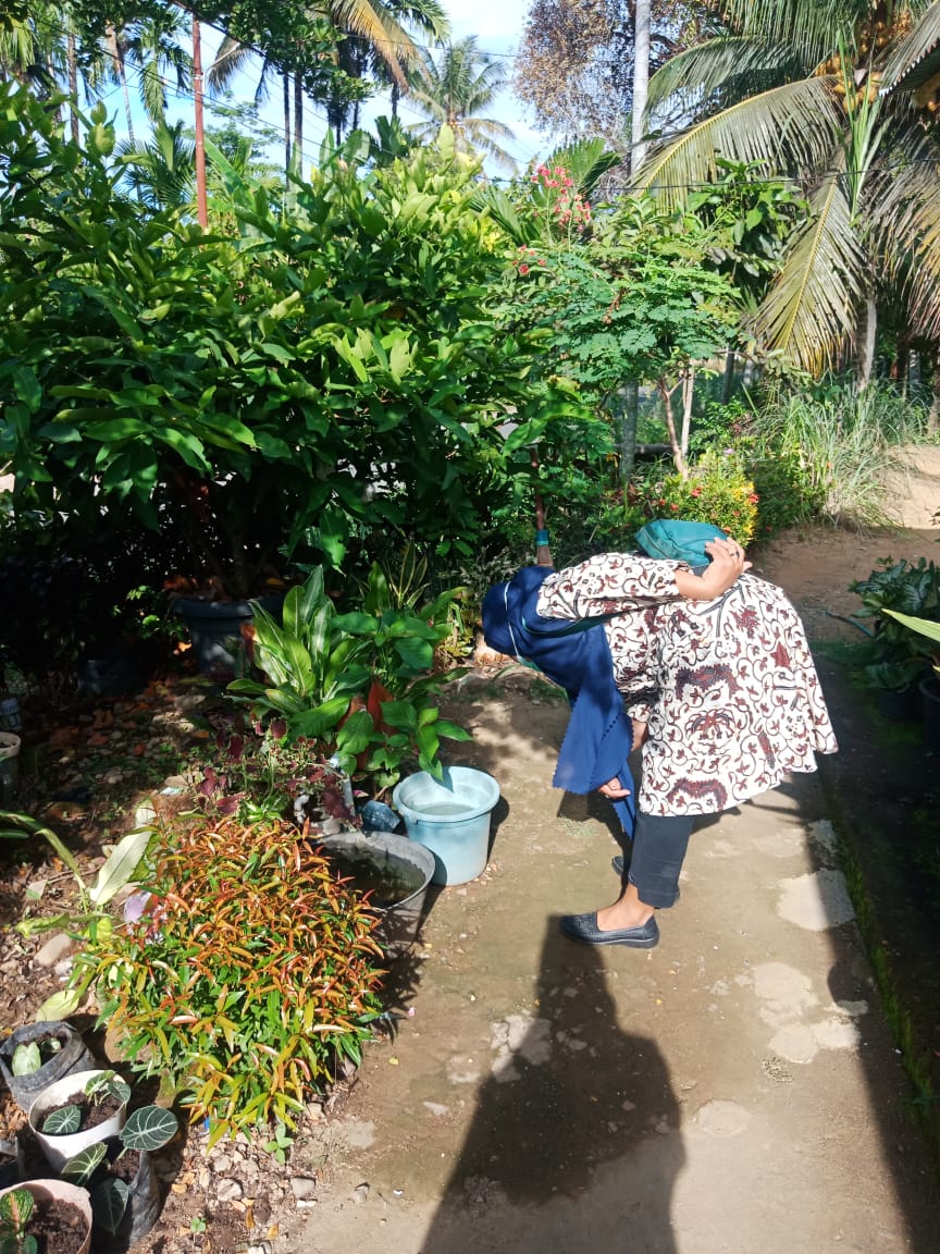 PENYELIDIKAN EPIDEMIOLOGI DBD DI KAMPUNG PAUH NAGARI KAMBANG TIMUR PUSKESMAS KOTO BARU