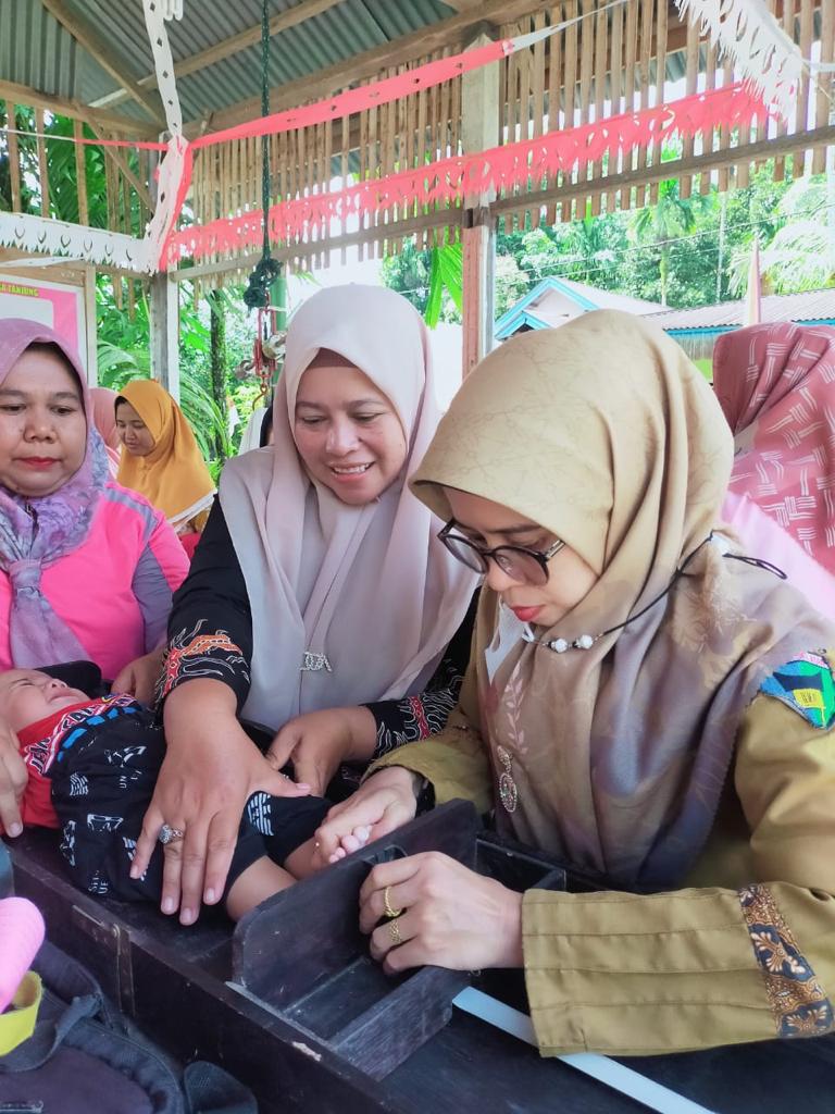 MONITORING POSYANDU BUNGA TANJUNG NAGARI BATU KUNIK LUMPO WILAYAH KERJA PUSKESMAS LUMPO 