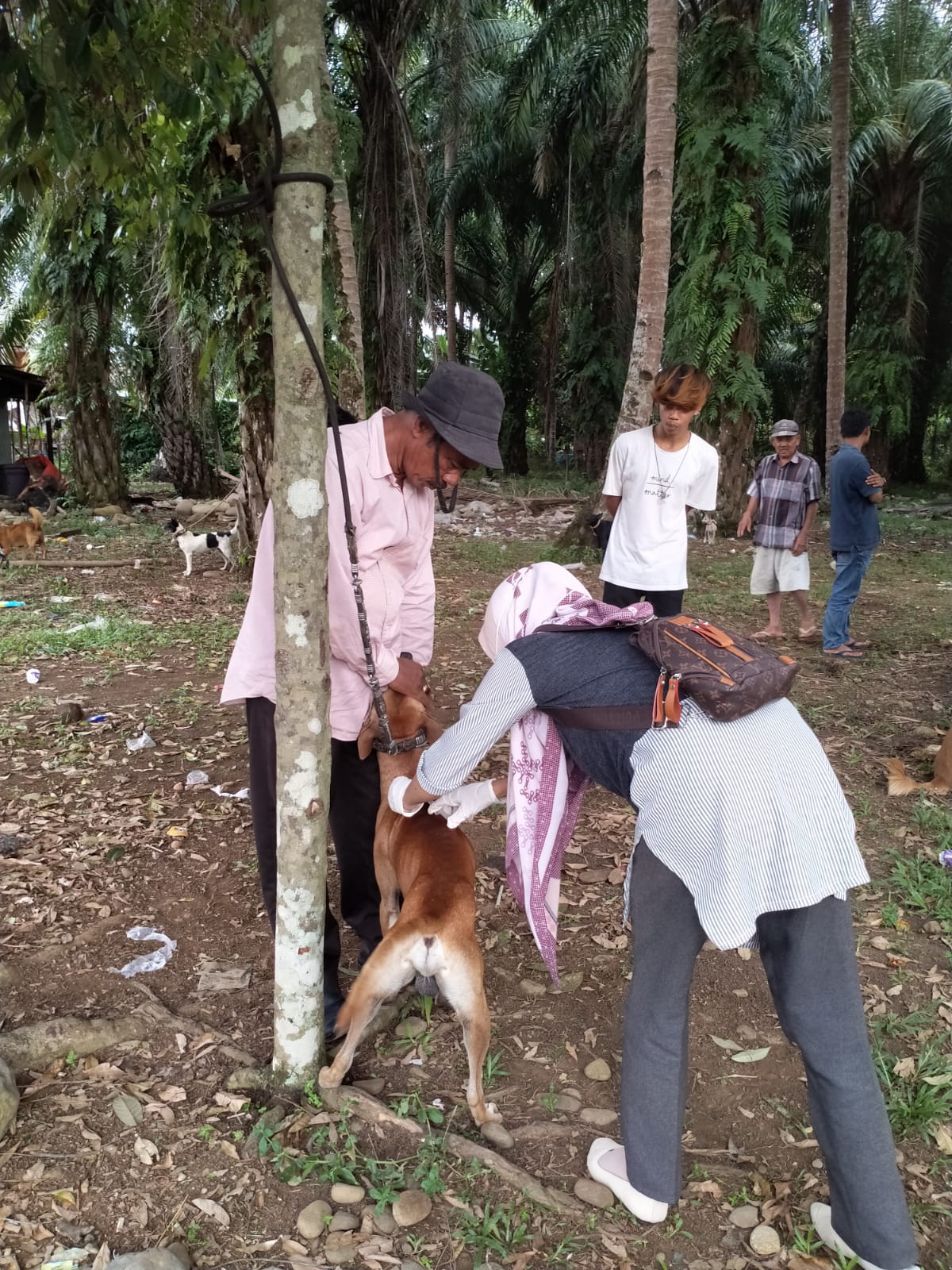 Penyuluhan Bahaya Penyakit Rabies dan Vaksin massal  hewan Peliharaan di Nagari Muara Inderapura, Ke