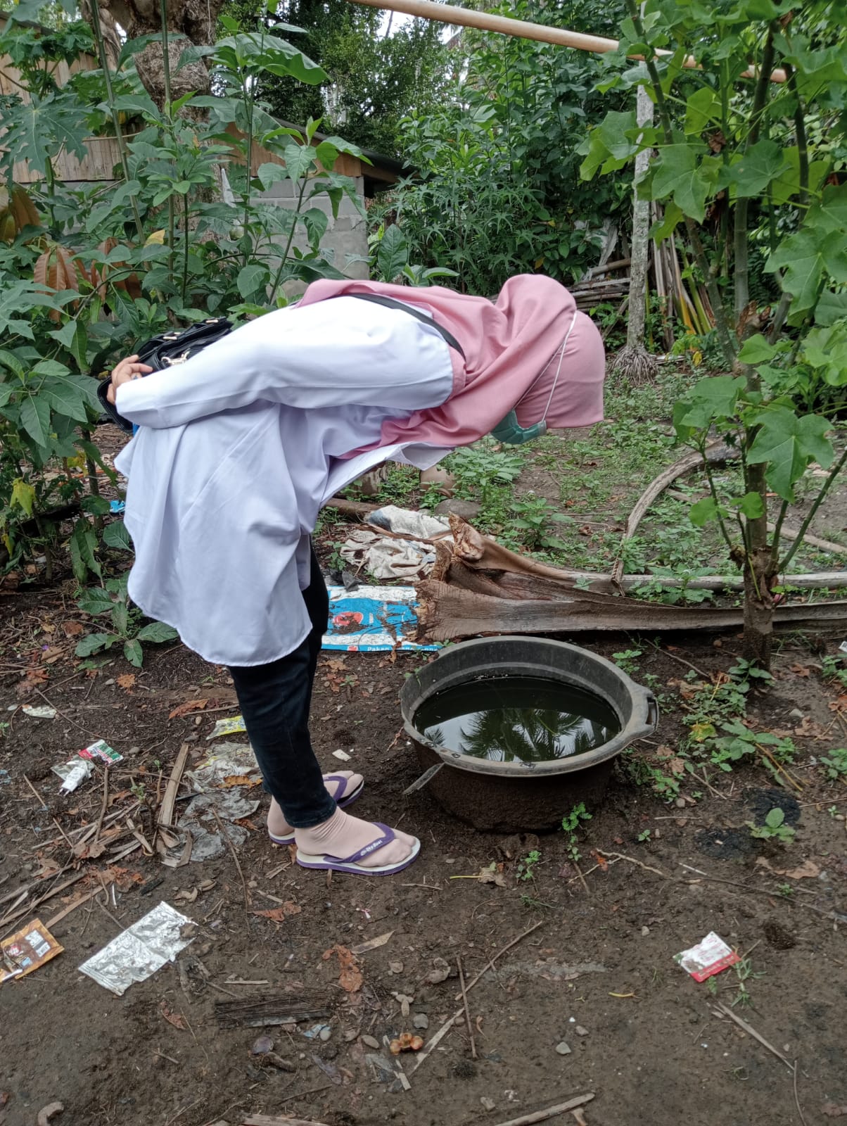Pelaksanaan PE DBD di Nagari Sungai Tunu Barat , Koto Berapak. Pusk Balai Selasa 