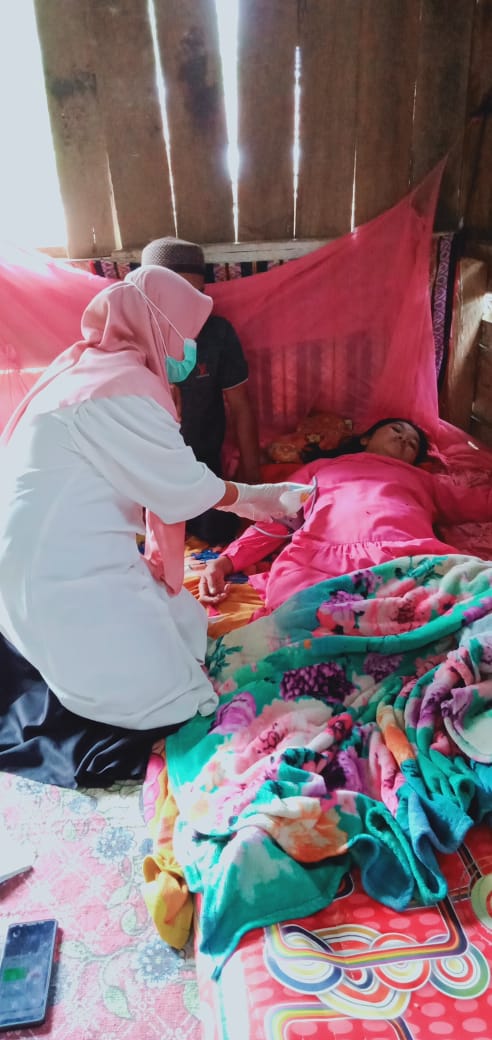 PEMANTAUAN  IBU HAMIL RESIKO TINGGI WILAYAH KERJA PUSKESMAS INDERAPURA NAGARI INDERAPURA 