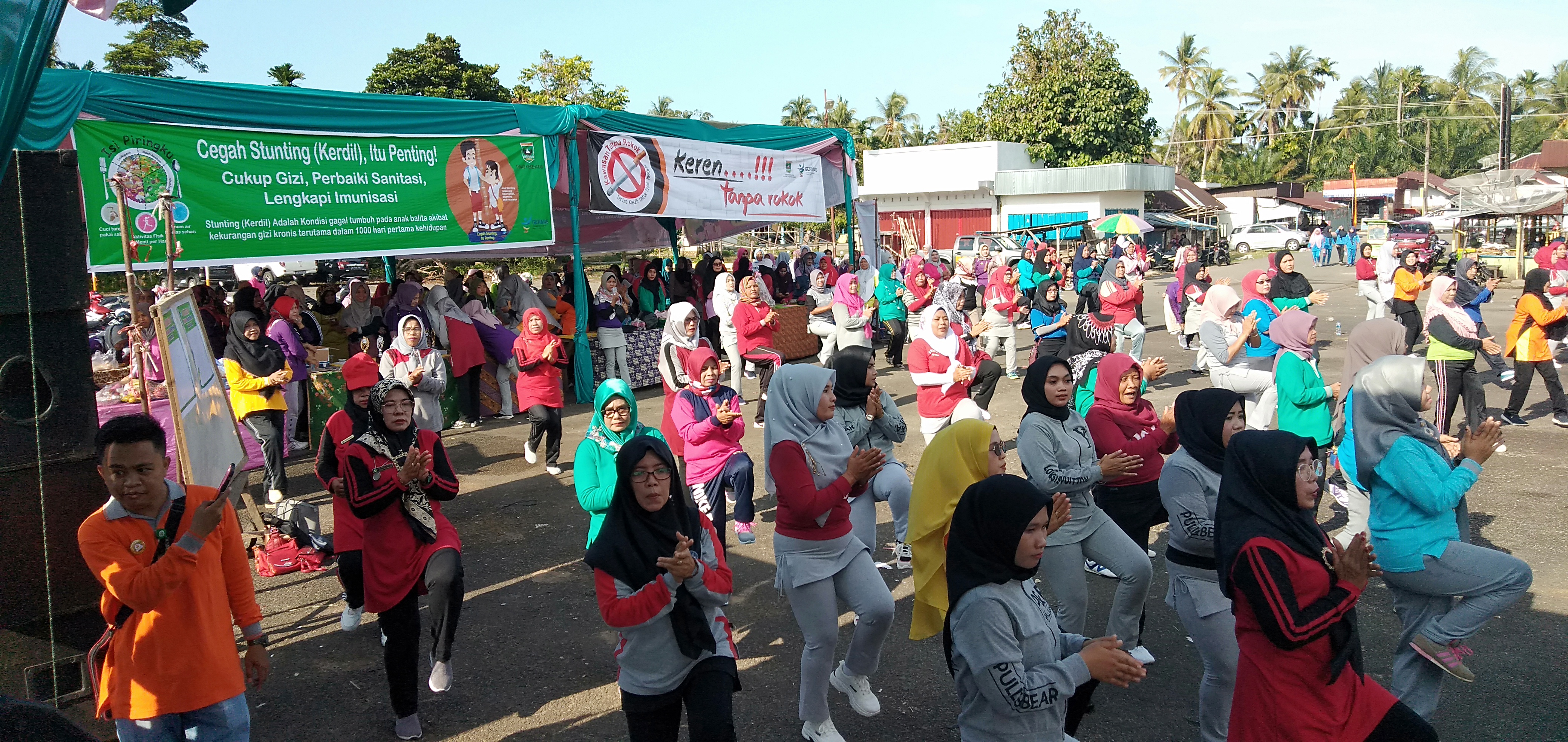 Implementasi Germas di Nagari Air Haji Kecamatan Linggo Sari Baganti 
