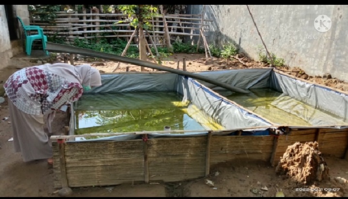 Pelaksanaan PE DBD di Sungai Tunu, Koto VIII Mudiak, dan Muaro Pandan Sungai Tunu Barat UPTPuskesmas