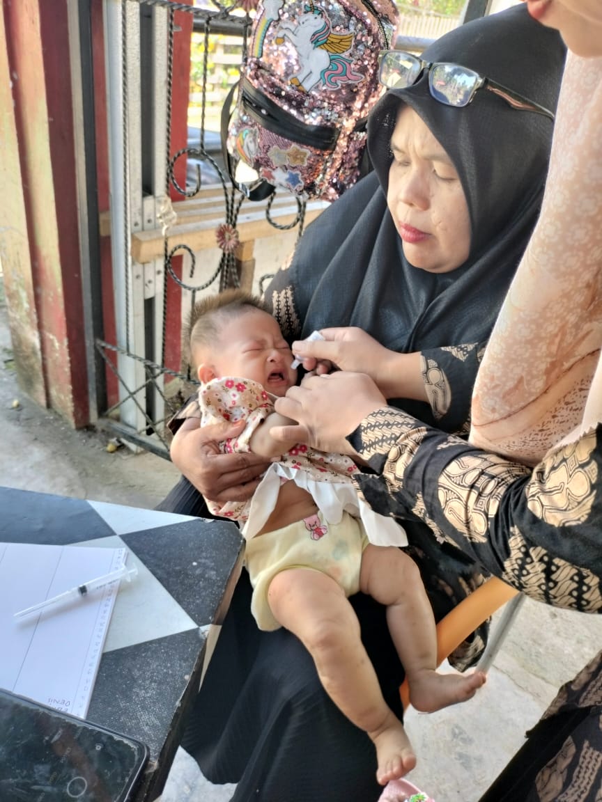 Pelaksanaan posyandu di wilayah kerja Puskesmas Inderapura