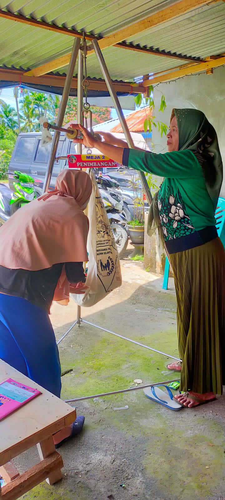 Pelaksanaan posyandu di wilayah kerja Puskesmas Inderapura di  Nagari Inderapura tengah kampung clua