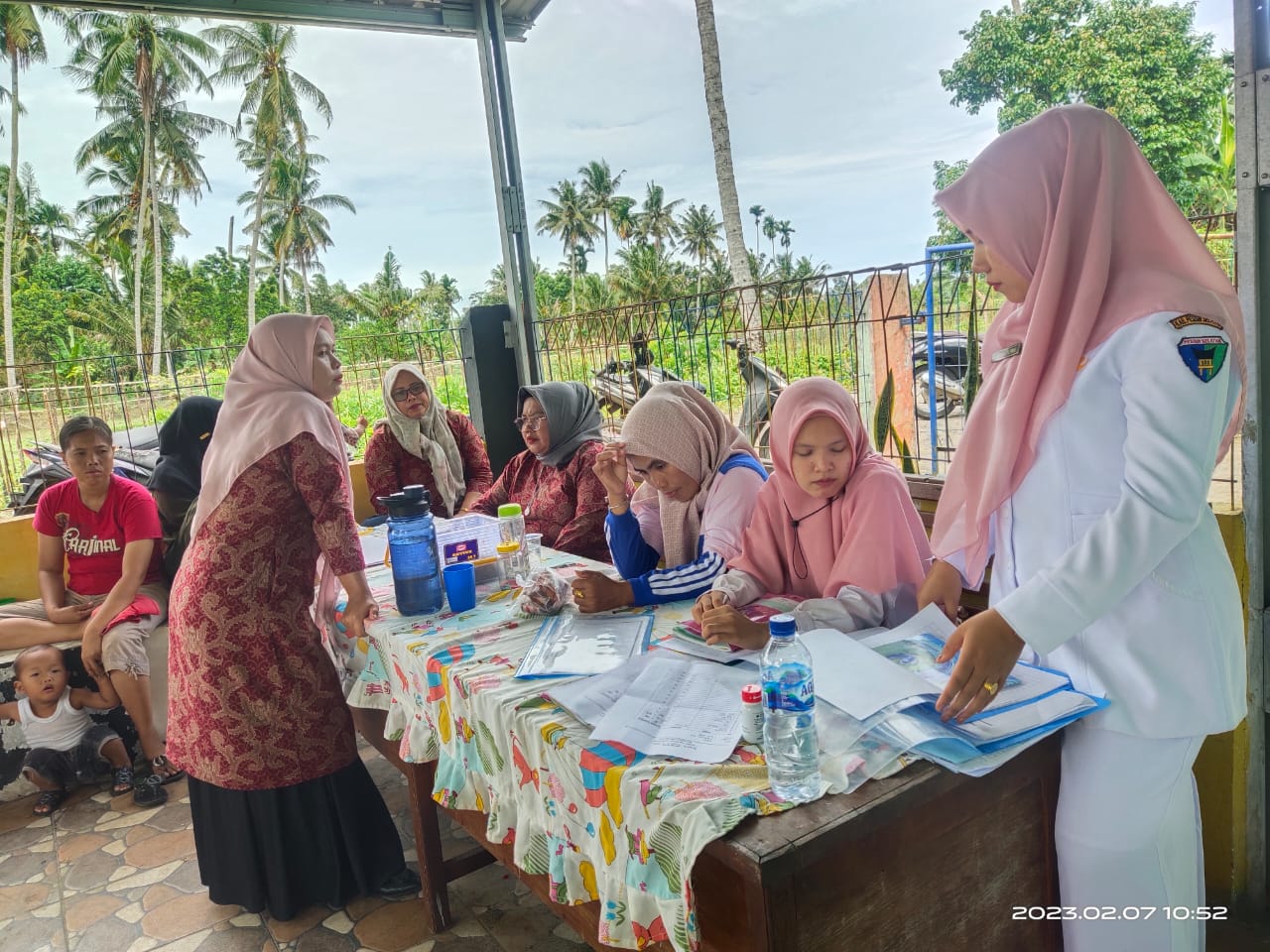Pembinaan Posyandu Wilker Puskesmas Inderapura