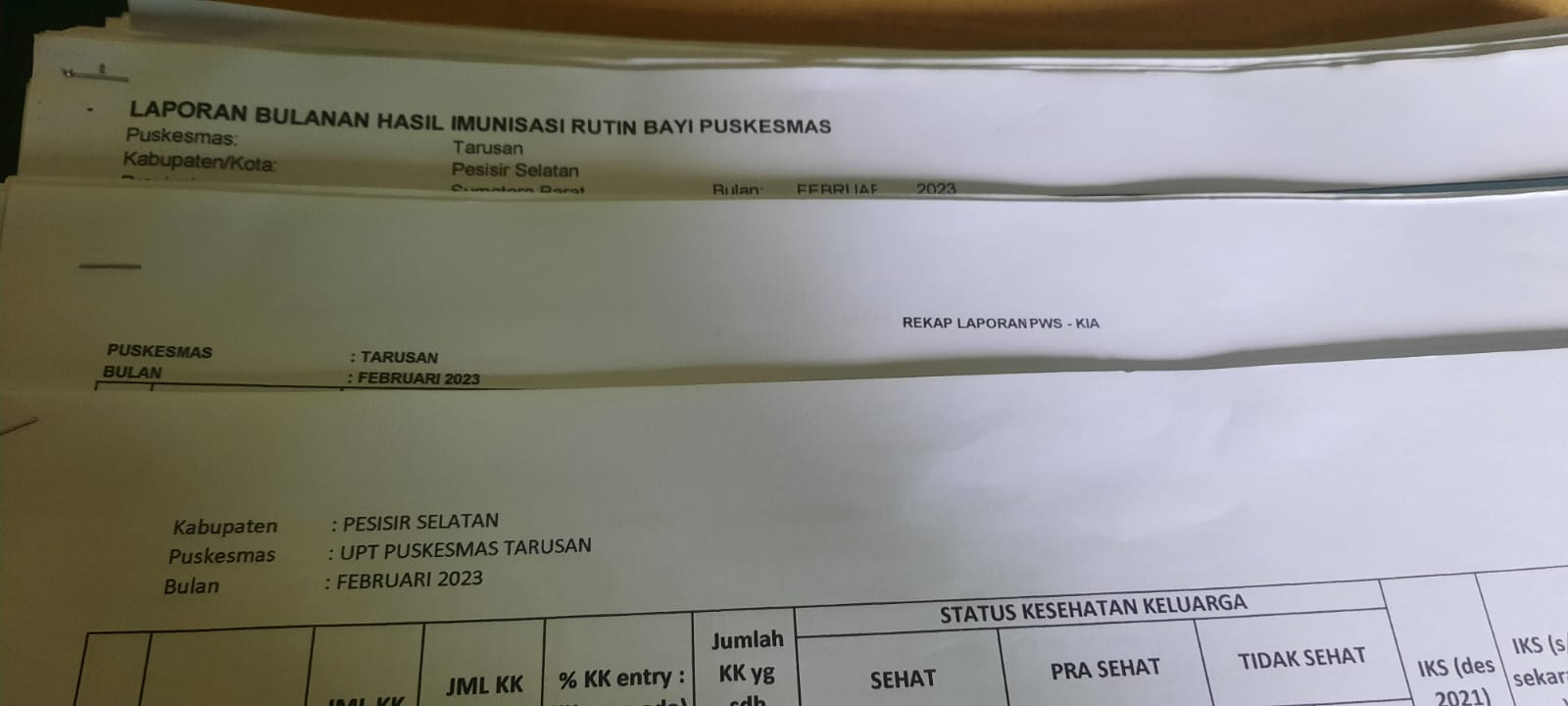 Sistem Pencatatan dan Pelaporan Tingkat Puskesmas ( SP2TP ) Tarusan