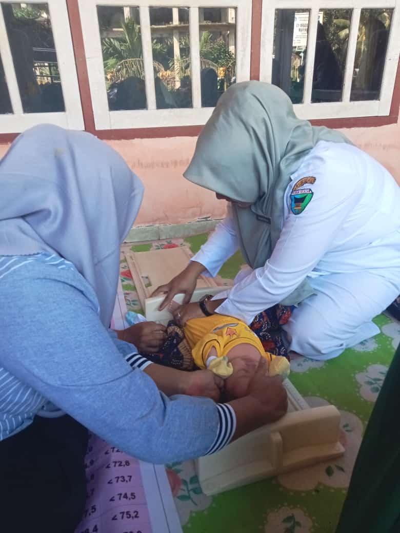 PUSKESMAS IV KOTO MUDIK PENIMBANGAN MASSAL DI POSYANDU MAWAR I DAN MAWAR III