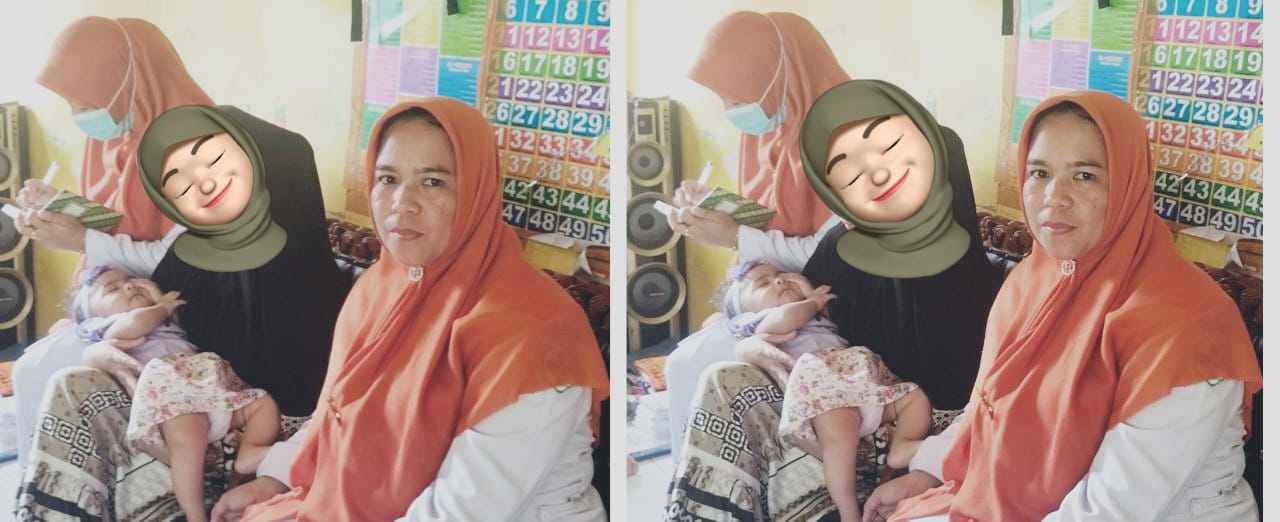 puskesmas airpura kunjungan rumah kasus diare nagari palokan indrapura