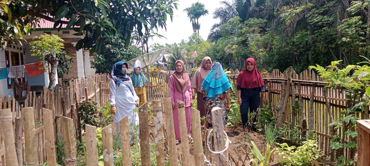 Sosialisasi Asuhan Mandiri Pemanfaatan Taman Obat Keluarga di kenagarian IV Koto Hilie wilayah kerja