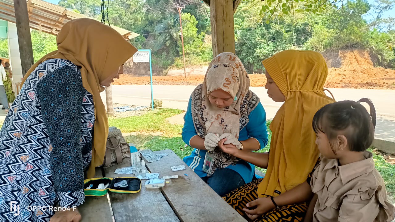 Kunjungan Rumah memantau kondisi ibu hamil dan Bayi/Balita di wilker pkm tarusan