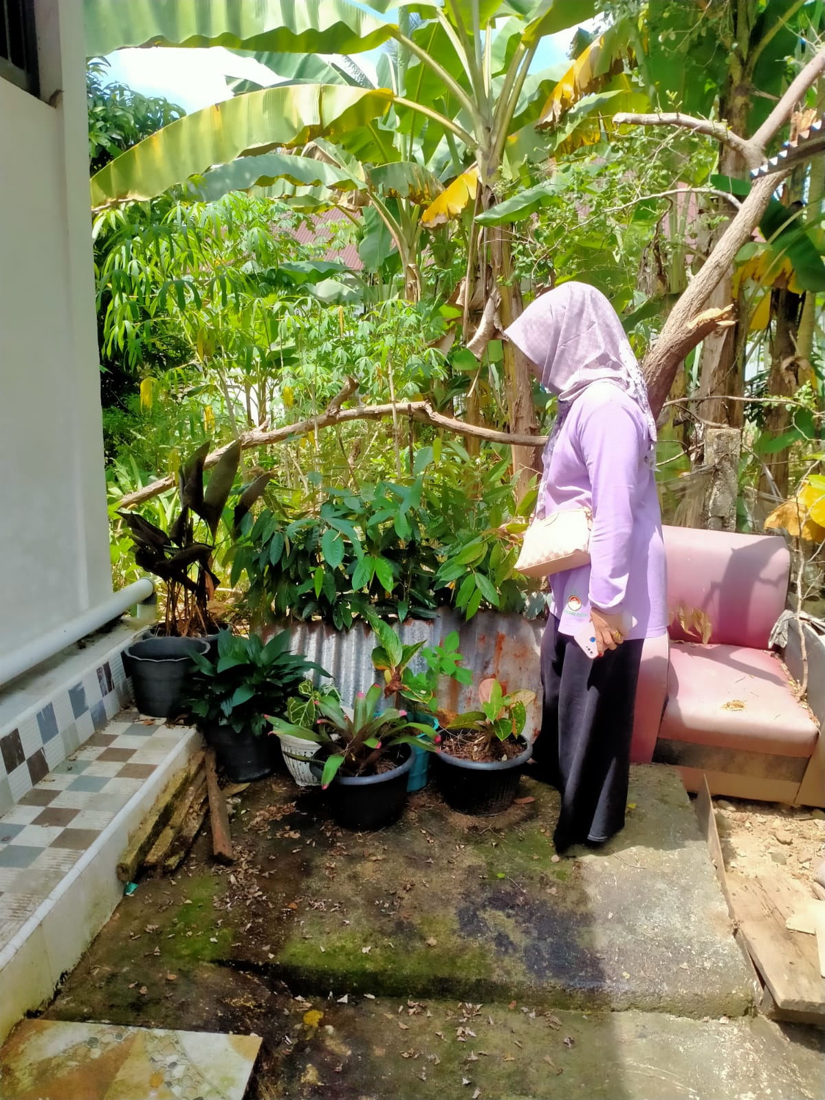 PELAKSANAAN PE DBD PKM BALAI SELASA