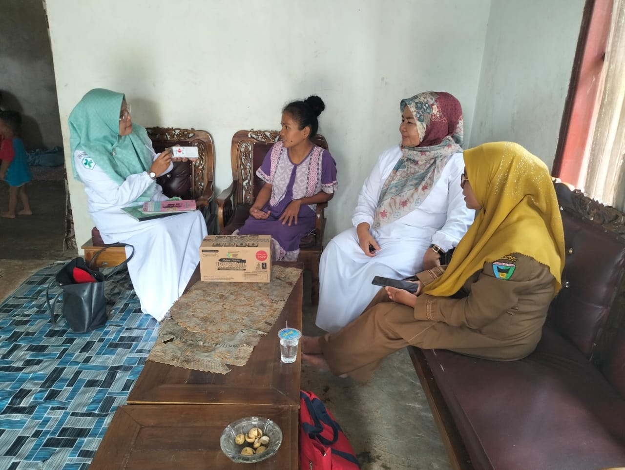 Kegiatan Kunjungan Ibu Hamil KEK di Desa Tanjung Gadang Nagari Amping Parak Timur Puskesmas Kayu Gad