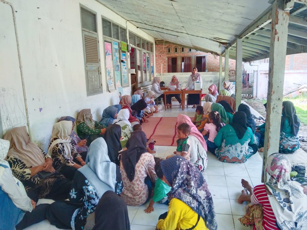 Pelaksanaan kegiatan penyuluhan KB di Nagari Koto Nan Duo Wilayah kerja Puskesmas Pasar Kuok