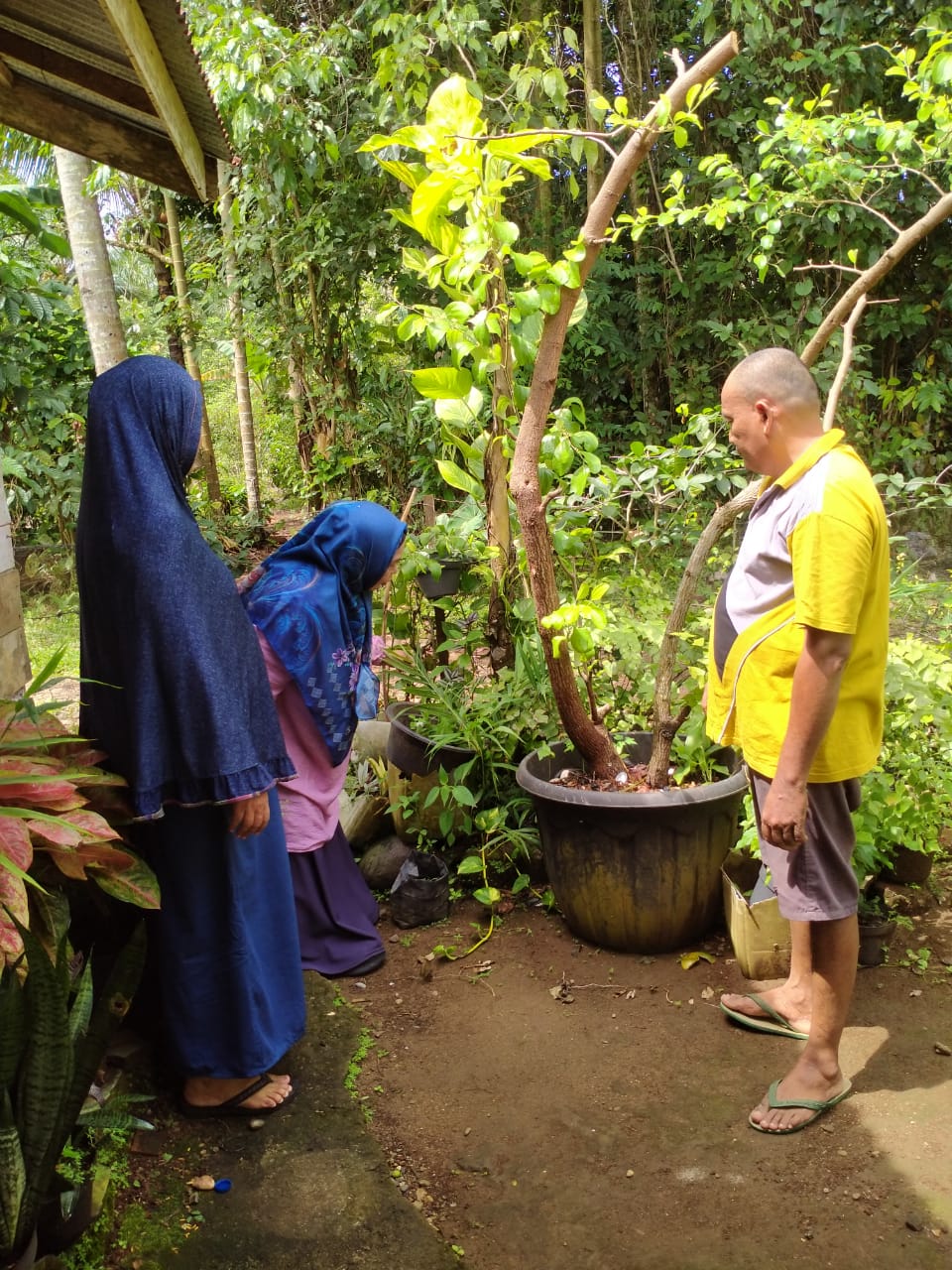 Pelaksanakan kegiatan PE Suspek Dbd di Kampung lalang panjang Nagari Lalang Panjang Inderapura, Kec.