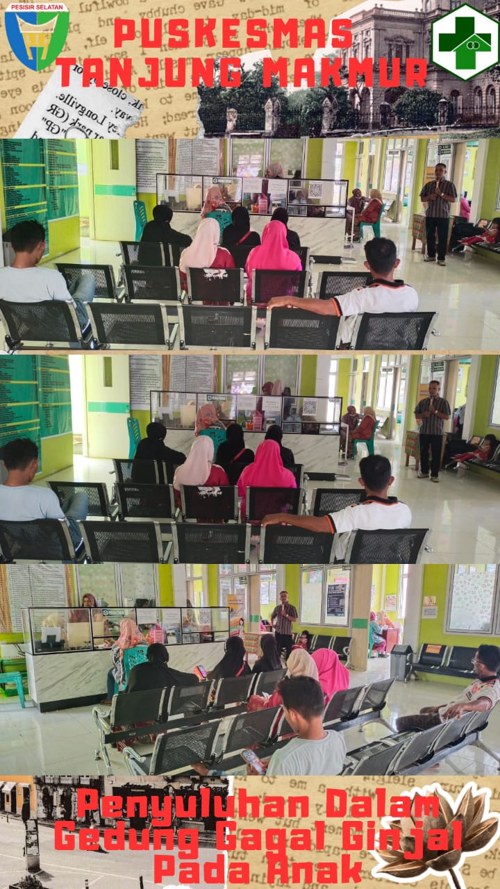 Penyuluhan Gagal Ginjal Pada Anak Di Puskesmas Tanjung Makmur