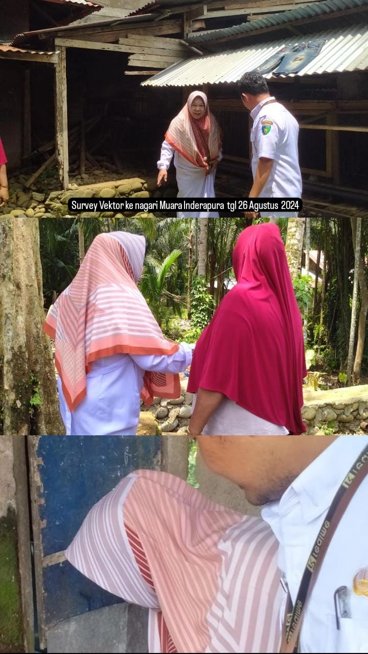 Survei vektor Malaria dan DBD di Nagari Muara Inderapura