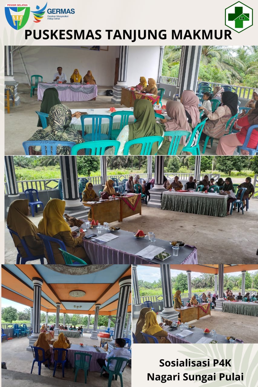 Melakukan Kegiatan Perencanaan Persalinan dan Pencegahan Komplikasi ( P4K ) di Nagari Sungai Pulai,
