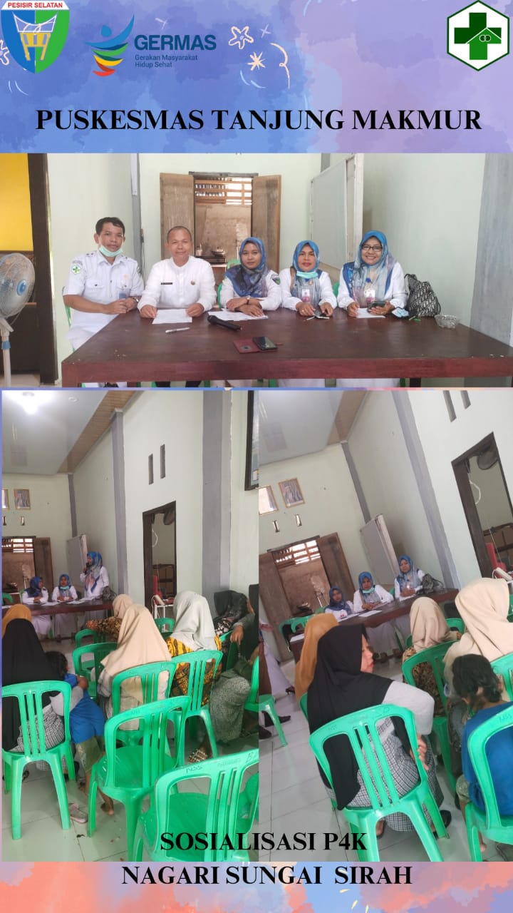 Sosialisasi Program Perencanaan Persalinan dan Pencegahan Komplikasi ( P4K ) di Nagari Sungai Sirah