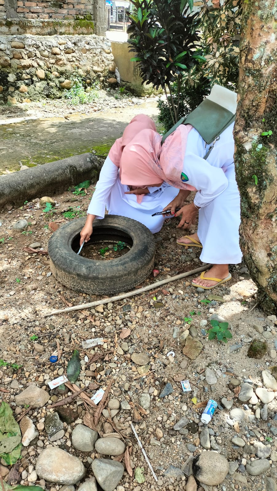 Pelaksanaan PE DBD dan Pengendalian Vektor DBD di Kampung Ganting dan Kampung Medan Baik