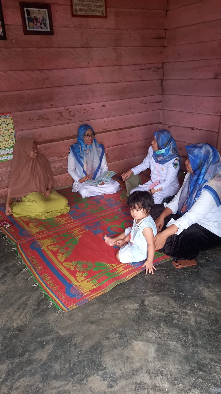  Kunjungan Rumah Ibu Hamil Anemia di Nagari Silaut Induk