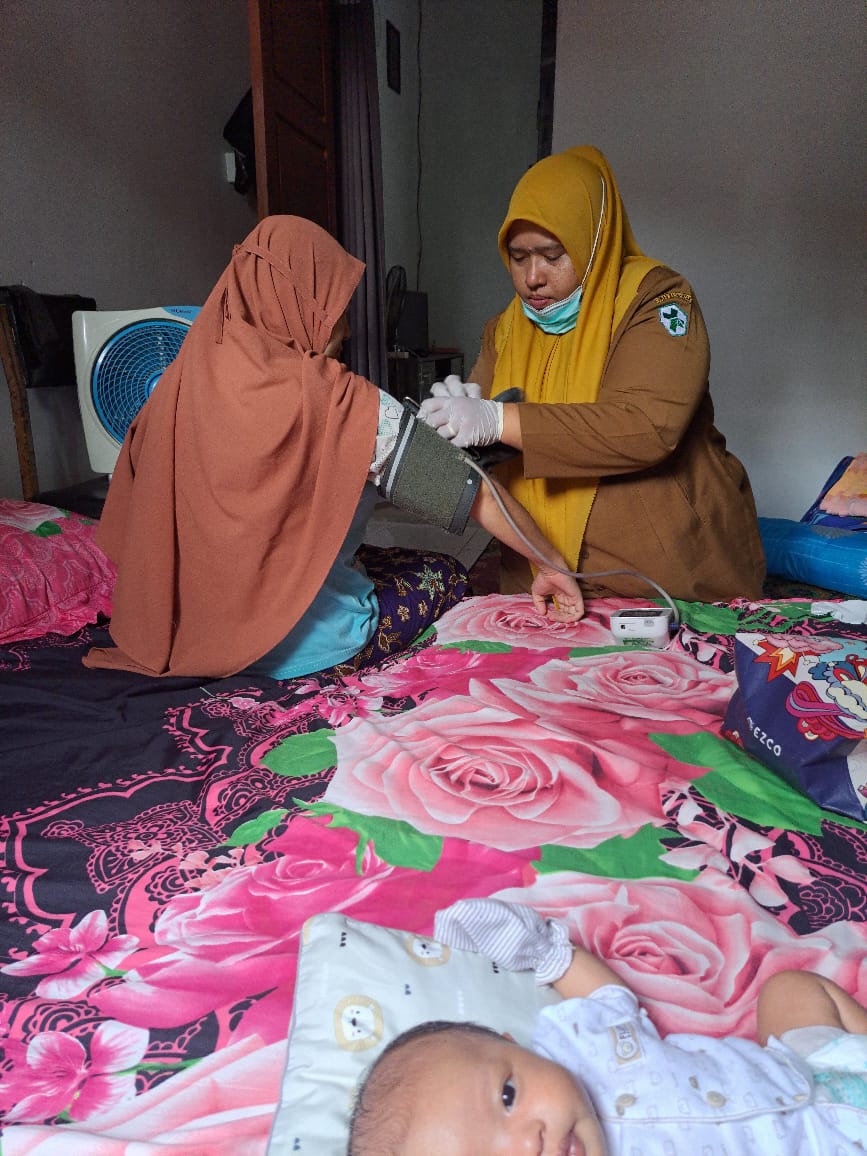 Kunjungan Rumah Ibu Nifas Dan Neonatus di Wilayah Kerja Puskesmas Tanjung Beringin