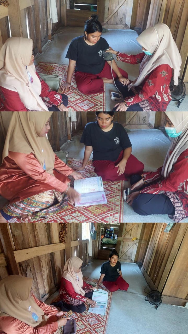 Kunjungan Ibu Hamil Anemia di Nagari Sambungo 