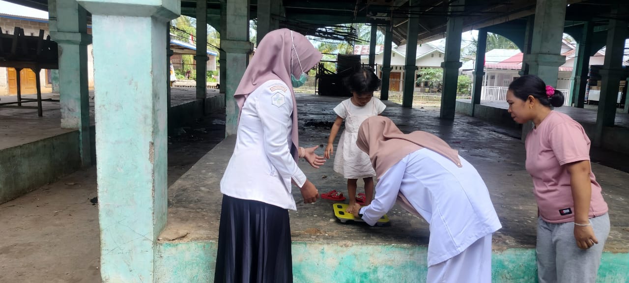 Pemantauan Tumbuh Kembang  Balita di Wiayah Kerja Puskesmas Kambang